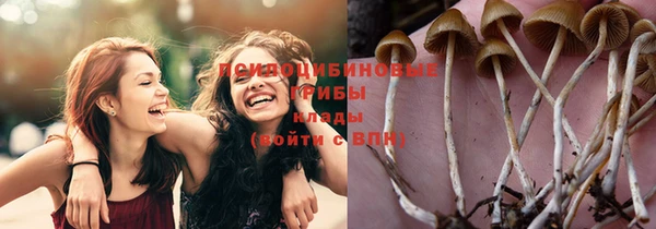бутират Балахна