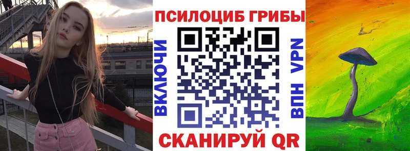 цены наркотик  Янаул  Псилоцибиновые грибы GOLDEN TEACHER 